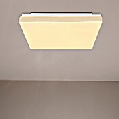Globo LED-Deckenleuchte RAINA (12 W, L x B x H: 33 x 33 x 6 cm, Weiß, Warmweiß) | BAUHAUS