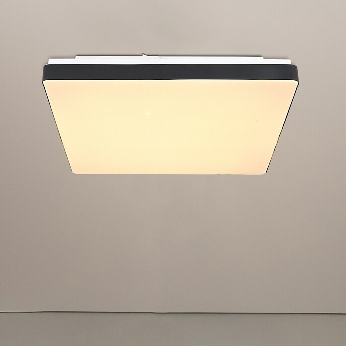 Globo LED-Deckenleuchte RAINA (12 W, L x B x H: 33 x 33 x 6 cm, Schwarz, Warmweiß)