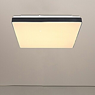 Globo LED-Deckenleuchte RAINA (12 W, L x B x H: 33 x 33 x 6 cm, Schwarz, Warmweiß)