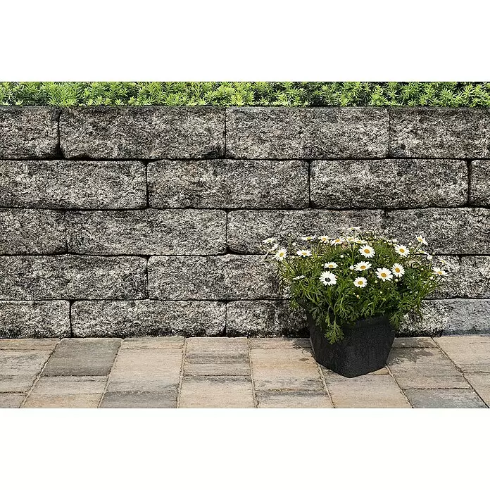 Diephaus Stamford Mauerstein Major - 50 x 25 x 15 cm, Schwarz/Weiß, Beton, Anfangsstein - Stimmungsaufnahme
