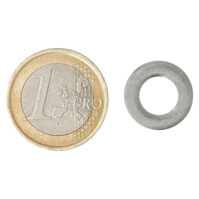 Profi Depot Unterlegscheibe A2 - Außendurchmesser: 16 mm, 100 Stk., Edelstahl - Eine 1-Euro-Münze liegt neben einer transparenten Unterlegscheibe. Ideale Dichtung für verschiedene Anwendungen, robust und vielseitig.