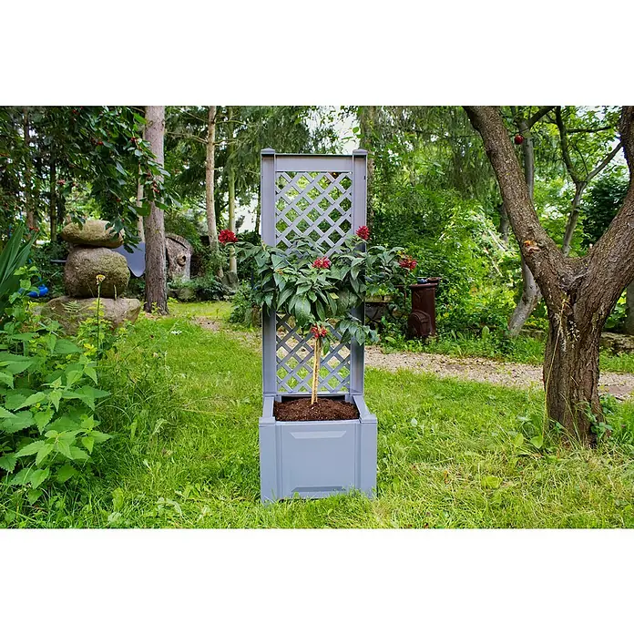 KHW Pflanzkasten - Außenmaß (L x B x H): 43 x 43 x 140 cm, Kunststoff, Grau, Mit Rankgitter - Ein grauer Pflanzkasten mit Rankgitter und einer blühenden Pflanze, ideal für Garten oder Terrasse. Ein echter Blickfang!