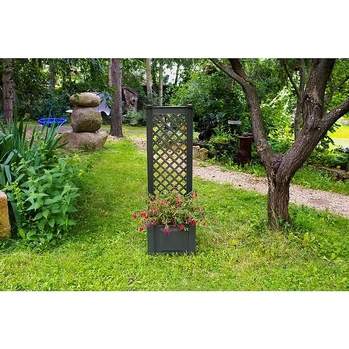 KHW Pflanzkasten - Außenmaß (L x B x H): 43 x 43 x 140 cm, Kunststoff, Anthrazit, Mit Rankgitter - Eine Nahaufnahme eines dunkelgrauen Pflanzgefäßes mit Rankgitter und üppigen rosa Blüten in einem üppigen Garten.