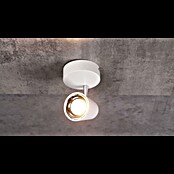 Reality Leuchten LED-Wandstrahler Toulouse (3 W, L x B x H: 12 x 40 x 15 cm, Weiß, Warmweiß) | BAUHAUS