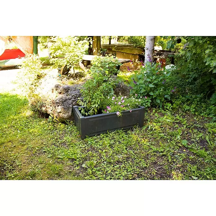 KHW Pflanzkasten - Außenmaß (L x B x H): 100 x 43 x 34 cm, Kunststoff, Anthrazit - Stimmungsaufnahme