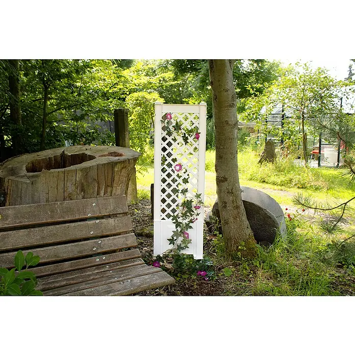 KHW Rankgitter - L x H: 43 x 137 cm, Weiß - Ein weißes Spalier mit kletternden Pflanzen steht in einem Garten, neben einer Holzbank und einem Baumstamm, der eine natürliche Atmosphäre schafft.
