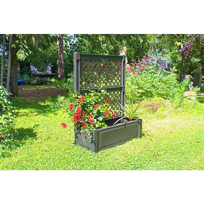 KHW Pflanzkasten - Außenmaß (L x B x H): 100 x 43 x 140 cm, Kunststoff, Anthrazit - Ein erhöhter Pflanzkasten mit Spalier im Garten, bepflanzt mit roten Blumen und einer grünen Pflanze, umgeben von Rasen und Bäumen.