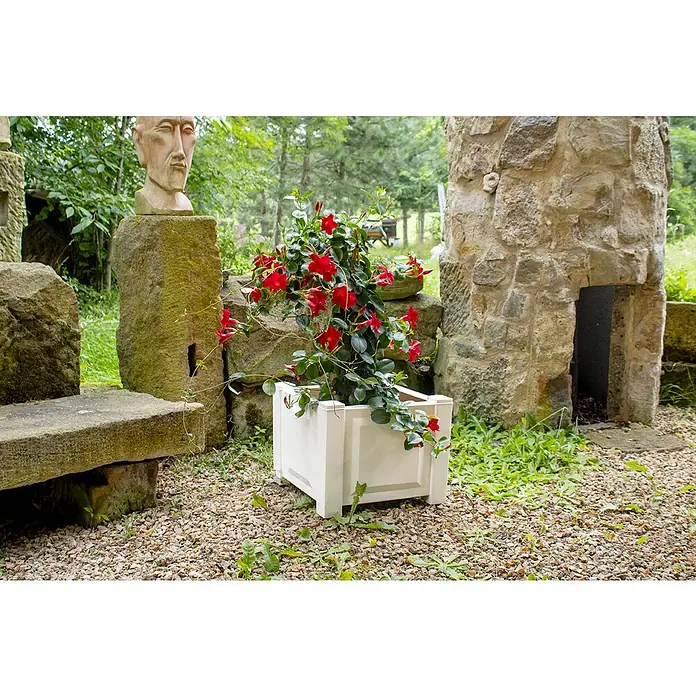 KHW Pflanzkasten - Außenmaß (L x B x H): 43 x 43 x 41 cm, Kunststoff, Weiß - Ein weißer Pflanzkasten mit roten Blumen steht im Garten. Der Pflanzkübel ist aus robustem Material gefertigt und bietet viel Platz für Pflanzen.