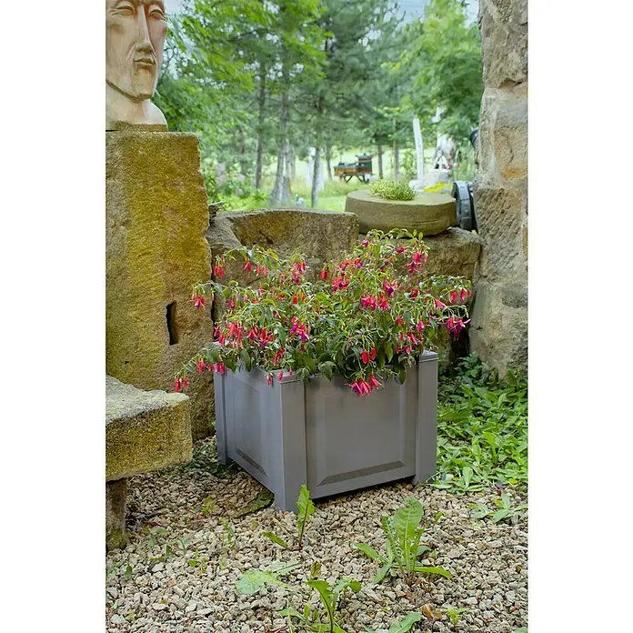 KHW Pflanzkasten - Außenmaß (L x B x H): 43 x 43 x 41 cm, Kunststoff, Grau - Ein grauer Blumenkasten mit üppigen, roten Blüten steht inmitten einer idyllischen Gartenkulisse mit Steinen und Grün.