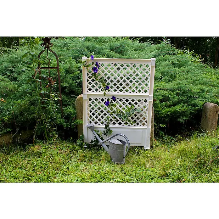 KHW Sichtschutz-Rankgitter - 100 x 140 cm, Weiß - Gartenszene mit Gießkanne, Rankgitter und blühenden Kletterpflanzen vor üppigem Grün. Eine idyllische Gartenecke lädt zum Verweilen ein.