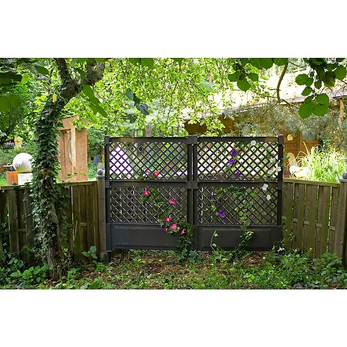 KHW Rankgitter - 100 x 140 cm, Anthrazit - Nahaufnahme eines dekorativen Zauns mit Pflanzen und Ranken, der einen Gartenbereich verschönert und Privatsphäre bietet.