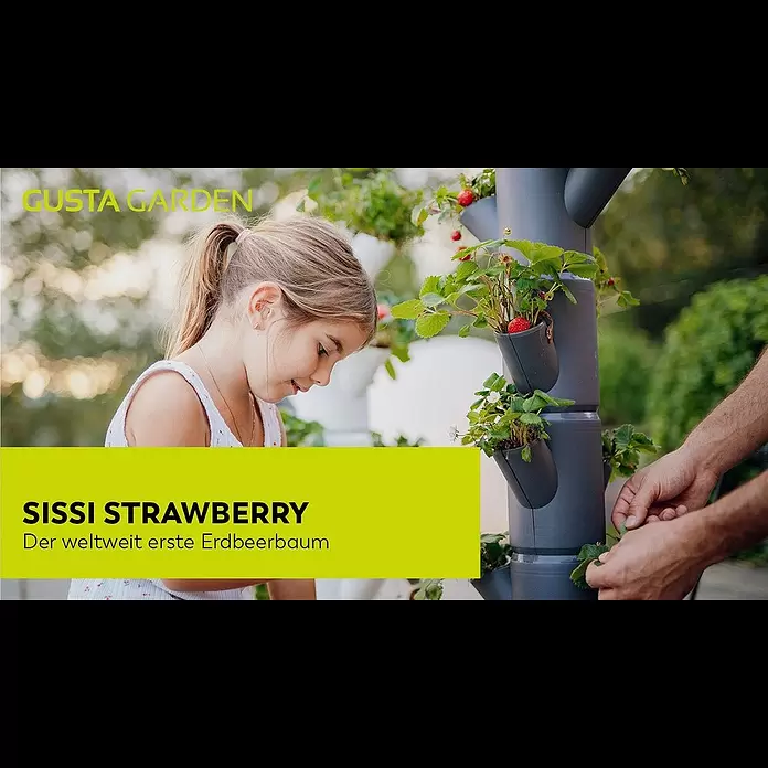 Gusta Garden Pflanzturm Sissi Strawberry Starter - 270 x 270 x 770 mm, Weiß - Sissi Strawberry
