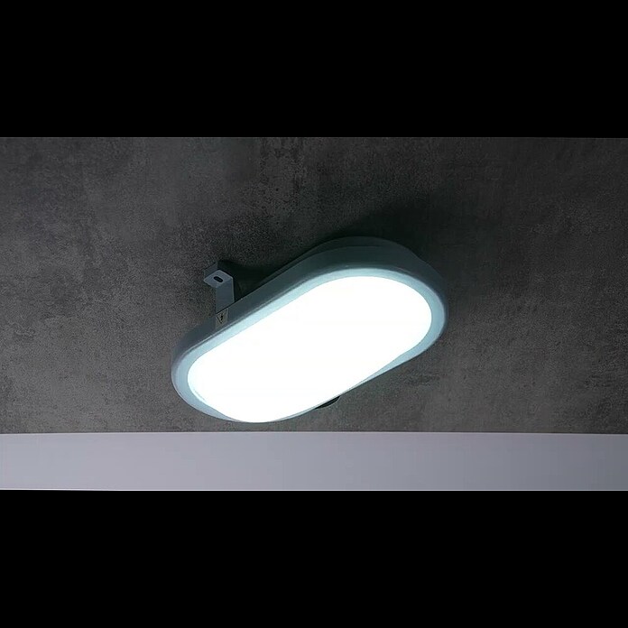 Ritter Leuchten LED-Deckenleuchte10 W, L x B x H: 170 x 115 x 80 mm, Grau, Tageslichtweiß Product