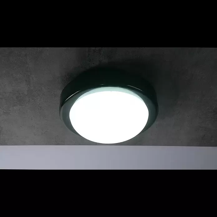 Ritter Leuchten LED-Deckenleuchte rund - 14 W, Schwarz, Tageslichtweiß - Ritter Leuchten LED-Rundleuchte, schwarz