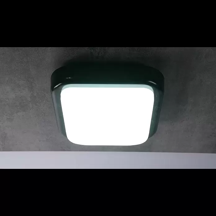 Ritter Leuchten LED-Wandleuchte - 14 W, L x B x H: 197 x 197 x 95 mm, Schwarz, Tageslichtweiß - Ritter Leuchten LED-Wandleuchte