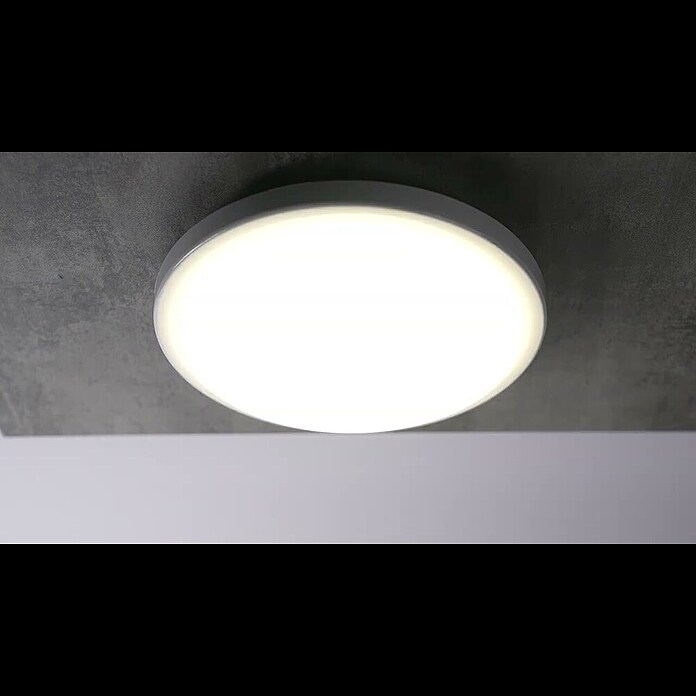 Ritter Leuchten LED-Rundleuchte SensoDurchmesser: 250 mm Product