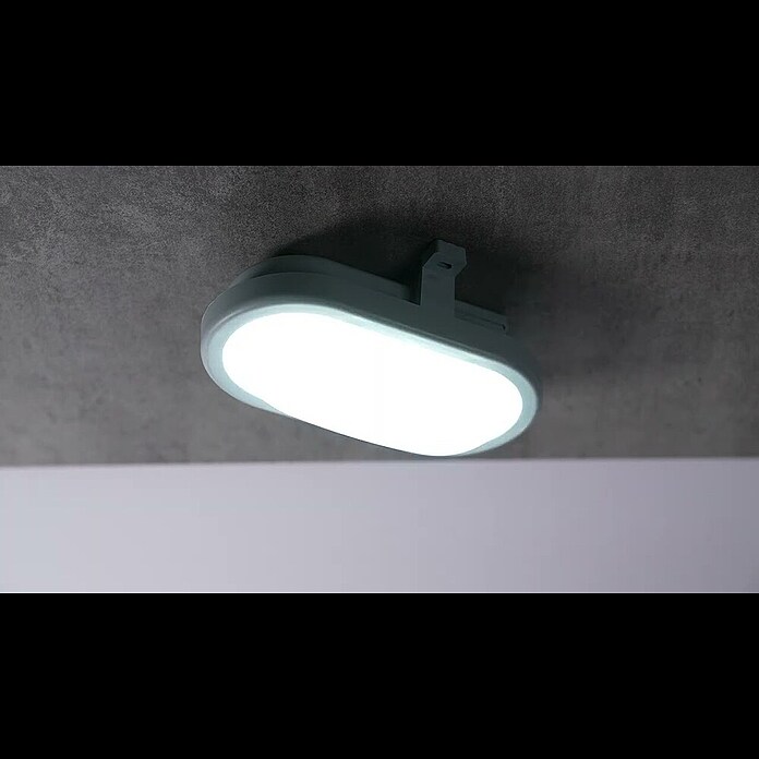 Ritter Leuchten LED-Oval-ArmaturGrau, Kunststoff, IP44 Product