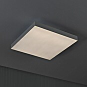 Paulmann LED-Panel Velora Rainbow (16 W, L x B x H: 29,5 x 29,5 x 6,4 cm, Weiß, RGBW) | BAUHAUS