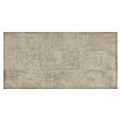 Porculanska pločica Draft Warm  (30 x 60 cm, Debljina: 8 mm, Bež/siva, Mat) | BAUHAUS
