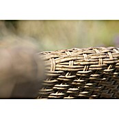 Acamp Gartenmöbel-Set Atacama (5 -tlg., Akazienholz/Aluminium/Polyrattan/Polyester, Braun) | BAUHAUS