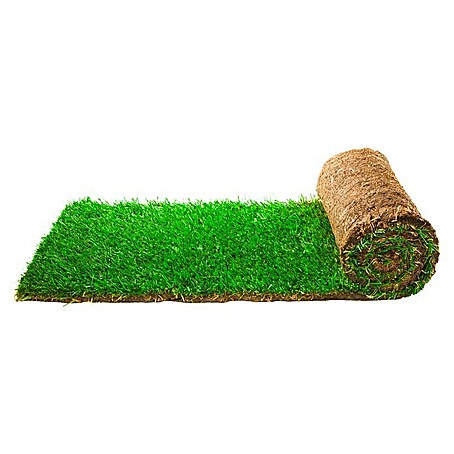 Piardino Rollrasen (Sport- & Spielrasen, L x B x H: 2,5 m x 40 cm x 2,5 cm, Max. Anwendungsfläche: 1 m²)