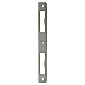 Abus Winkelschließblech WSBHT190 (DIN Anschlag: Universell einsetzbar, L x B x H: 8 x 20 x 190 mm, Silber) | BAUHAUS