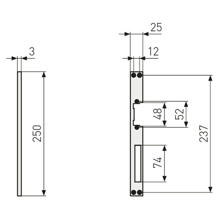 Abus Winkelschließblech F250 (DIN Anschlag: Universell einsetzbar, L x B x H: 3 x 25 x 250 mm) | BAUHAUS