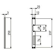 Abus Winkelschließblech F250 (DIN Anschlag: Universell einsetzbar, L x B x H: 3 x 25 x 250 mm) | BAUHAUS