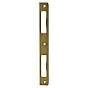 Abus Winkelschließblech WSBHT190 (DIN Anschlag: Universell einsetzbar, L x B x H: 8 x 20 x 190 mm, Gold) | BAUHAUS