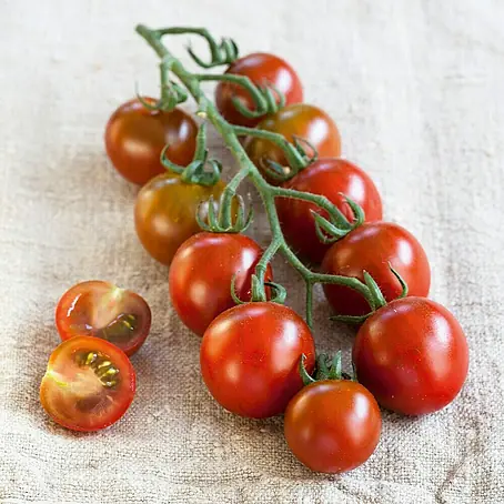 Piardino  Tomate Bio