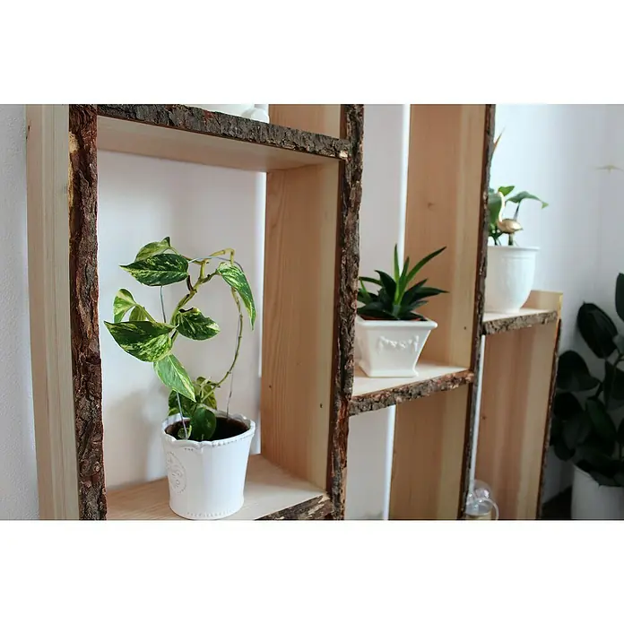 Exclusivholz Blockware - Douglasie, Anfallende Breite: 20 cm - 25 cm, 120 x 3 cm - Nahaufnahme eines rustikalen Holzregals mit drei Fächern, in denen Zimmerpflanzen in weißen Töpfen stehen, vor einer weißen Wand.