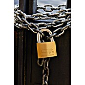 Abus Titalium hangslot Lock-Tag 75/50 (b x h: 50 x 77 mm, Beugeldikte: 8 mm, Veiligheidsniveau: 7) | BAUHAUS