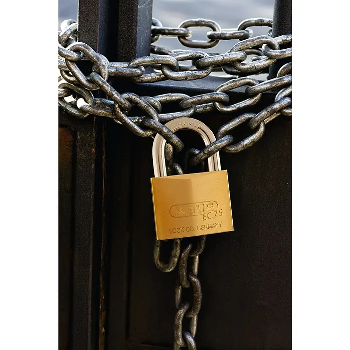 Abus Vorhängeschloss 75/30 Gleichschließend - B x H: 30 x 54 mm, Bügelstärke: 5 mm, Messing - Nahaufnahme eines goldenen ABUS EC 75 Vorhängeschlosses, das eine schwere Metallkette an einem schwarzen Tor sichert.