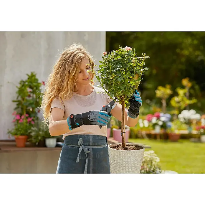 Gardena Gartenhandschuhe Rosen - M, Grau/Türkis - Frau, die einen Rosenbaum mit einer Gartenschere beschneidet und dabei Handschuhe zum Schutz trägt.