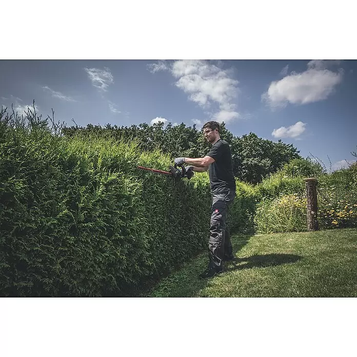 Metabo CAS 18V Akku-Heckenschere HS 18 LTX 45 - 18 V, Li-Ionen, Ohne Akku, Schwertlänge: 45 cm - Anwendungsbeispiel