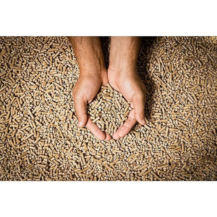 Holzpellets - 15 kg, Nadelholz - Hände halten Holzpellets. Die Pellets sind klein, zylindrisch und hellbraun. Sie werden als Brennstoff verwendet und sind umweltfreundlich.