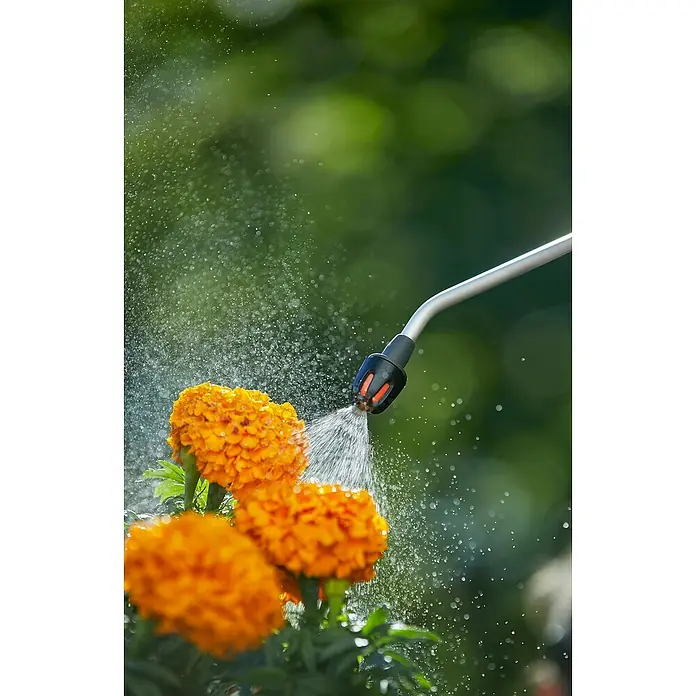 Gardena Comfort Drucksprüher - Füllmenge: 5 l, Grau - Bewässerung von leuchtend orangefarbenen Ringelblumen mit einem Wasserschlauch für eine gesunde Gartenpflege und üppige Blütenpracht.