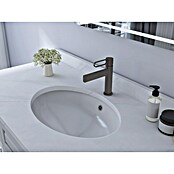 IO Dior Grifo de lavabo (Titanio) | BAUHAUS