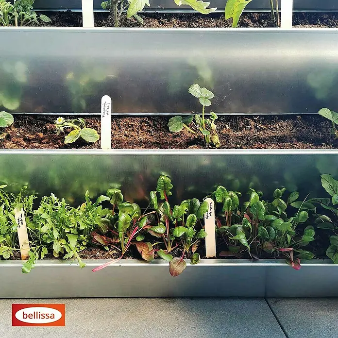 Bellissa Hochbeet Inalto M4 - 100 x 32 x 100 cm, Stahl, Silber/Hellbraun - Nahaufnahme eines dreistufigen vertikalen Bellissa-Gartens mit Erdbeeren, Spinat und Rucola, die in den Pflanzgefäßen wachsen.