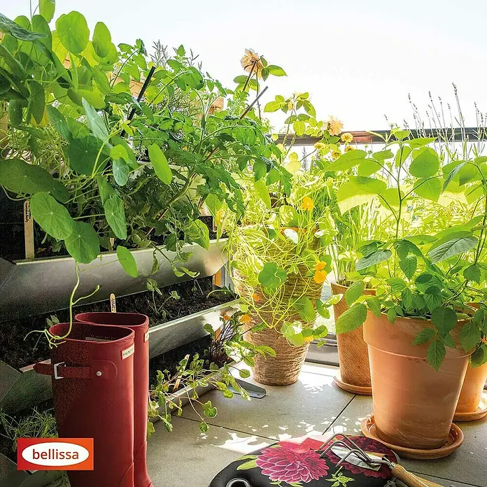 Bellissa Hochbeet Inalto M4 - 100 x 32 x 100 cm, Stahl, Silber/Hellbraun - Urbaner Garten mit Bellissa Produkten: Pflanzgefäße und Gummistiefel auf einem sonnigen Balkon mit üppigen Pflanzen.