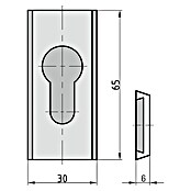 Basi Rosette SR 450 (Aluminium, Champagner, Stärke Schild/ Rosette: 6 mm) | BAUHAUS