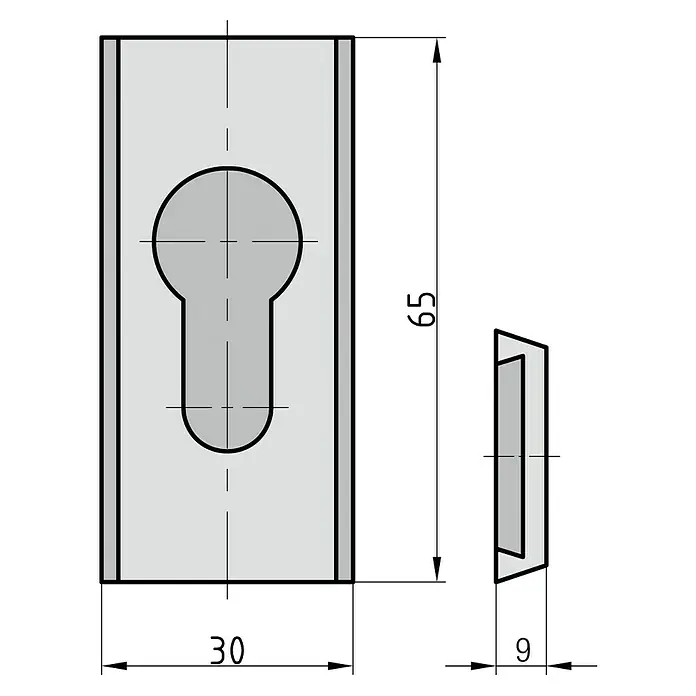 Basi Schlüsselschild SR 450Silber, Stärke Rosette: 9 mm