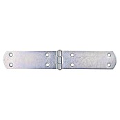 Stabilit Bisagra (L x An: 250 x 40 mm, Acero, Zincado) | BAUHAUS