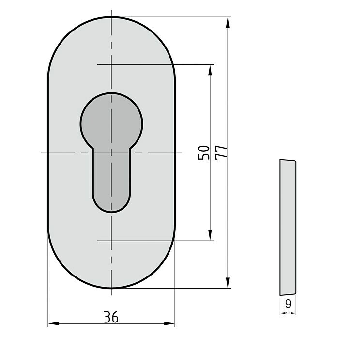 Basi Schlüsselschild SR 4100 PZ (Stärke Rosette: 9 mm) | BAUHAUS