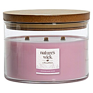 Woodwick Nature's Wick Duftkerze (Im Glas, Woodland Rose, Anzahl Dochte: 3 Stk.)