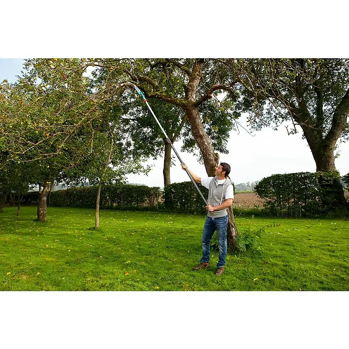 Gardena Combisystem Gartensäge 300 P gebogen - Sägeblattlänge: 34 cm - Ein Mann erntet Äpfel mit einem Obstpflücker mit Teleskopstiel in einem Garten. Der Obstpflücker erleichtert das Ernten in großer Höhe.