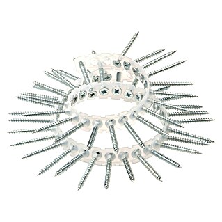 Spaanplaatschroef op band (Ø x l: 4 x 40 mm, Verzinkt, 1.000 st., Platkop, Kruiskop (Pozidriv))