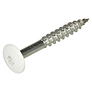 Gevelschroef A2 Kleurkop (4,8 x 38 mm, 50 st., Zuiver wit RAL 9010)