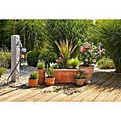 Gardena Micro-Drip Set za zalivanje Micro-Drip M - avtomatični  (Ustrezno za: Do 7 cvetličnih loncev in 3 korita za rastline) | 7318 - Sprinklersysteme und Micro Drip | IAFB - Systemteile Wassertechnik | IAF - Wassertechnik | IA - Gartenhartware | I - Stadtgarten | BAUHAUS