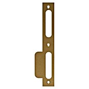 Abus Lappenschließblech LSB170 (DIN Anschlag: DIN-R, L x B: 170 x 24 mm, Gold) | BAUHAUS